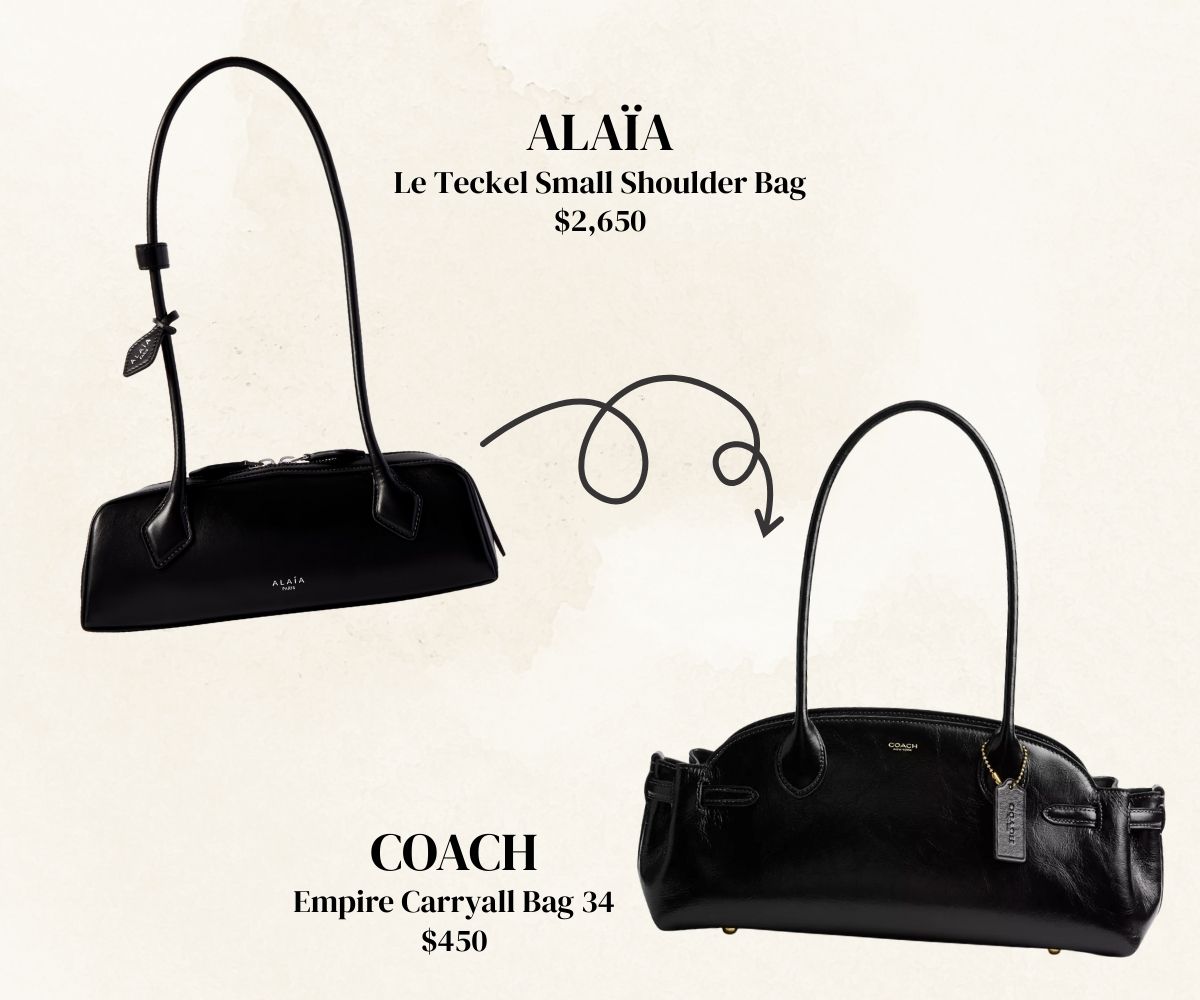 Alaïa Le Teckel, 2 650 долларов против сумки «Empire Carryall Bag 34» от Coach, 450 долларов